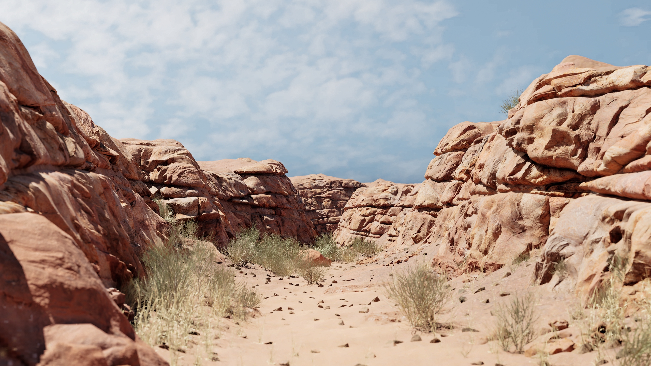 Ravine render